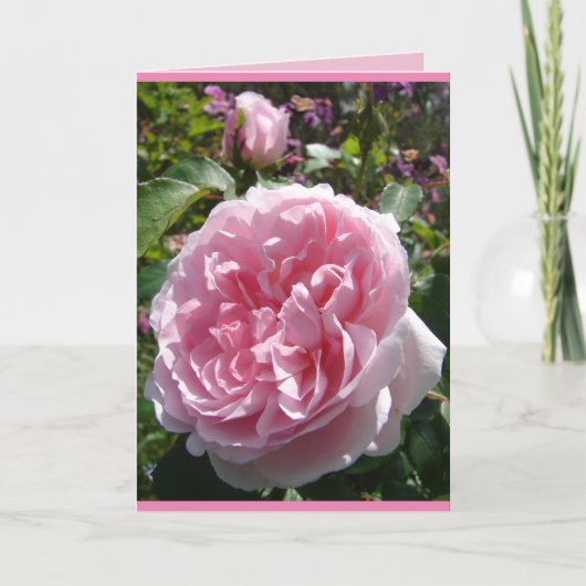 Roze  Cabbage English Roos floral Kaart (Voorkant)