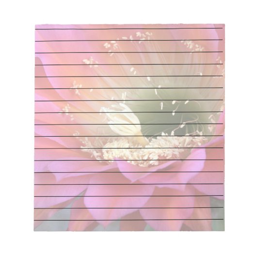 Roze cactus-bloem in de woestijn notitieblok (Voorkant)