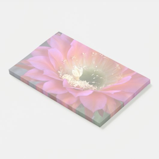 Roze cactus-bloem in de woestijn post-it® notes (Schuin)