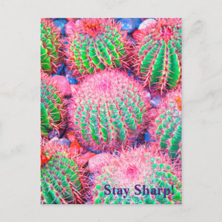 Roze cactus briefkaart