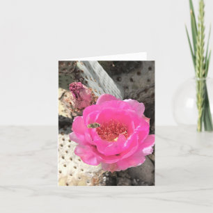 Roze Cactus Flower met Bee Note Kaart