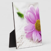 Roze cadeau voor daisy flower fotoplaat (Zijkant)