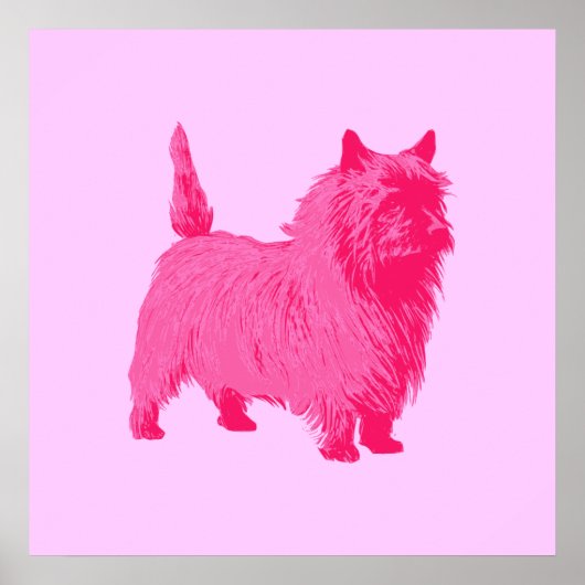 Roze Cairn Terrier Poster (Voorkant)