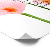 Roze Calla Lelie ZITPLAAT 9 Tafel Schuim Board Poster (Hoek)