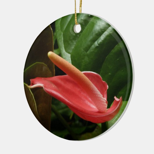 Roze Calla Lily Elegant Bloemen Keramisch Ornament (Links)