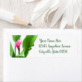 roze Calla Lily Etiket (Insitu)