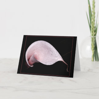 ROZE CALLA NOTECARD/BLANK KAART