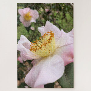 Roze Camelia Bloem Bloemige Puzzel