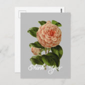 Roze Camellia Albino Botti Bedankt Briefkaart (Voorkant / Achterkant)