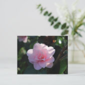 Roze Camellia Briefkaart (Staand voorkant)