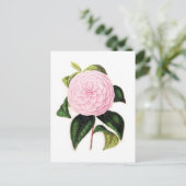 Roze Camellia Briefkaart (Staand voorkant)