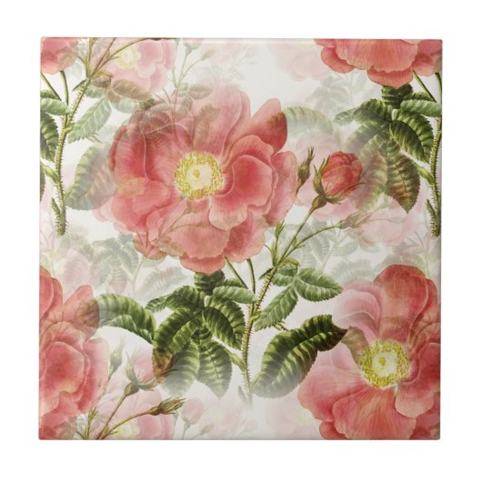 Roze Camellia Floral Pattern Tegeltje (Voorkant)