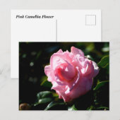 Roze Camellia Flower Briefkaart (Voorkant / Achterkant)