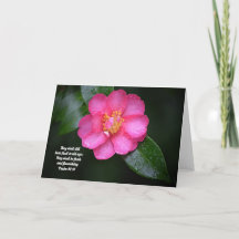Roze Camellia Flower en Scripture Psalm 92:14