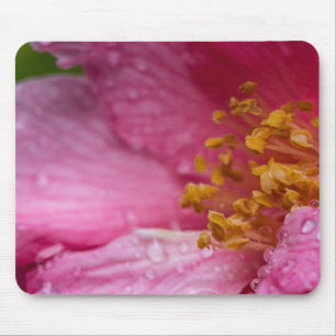 Roze Camellia Flower Stamens Muismat