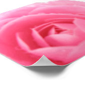 Roze Camellia Print (Hoek)