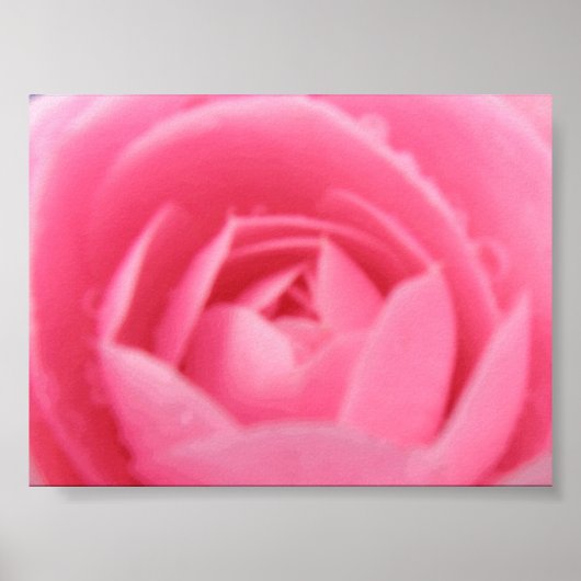 Roze Camellia Print (Voorkant)