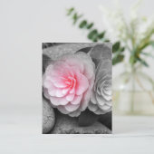 Roze Camellias-foto Briefkaart (Staand voorkant)
