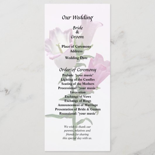 Roze Canterbury Bells Programma (Voorkant)