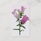 Roze Canterbury Bells Visitekaartje (Achterkant)