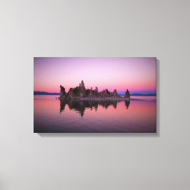 Roze Canvas Afdruk
