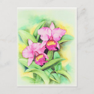 Roze Catleya Orchid Flower Art - Multi Briefkaart