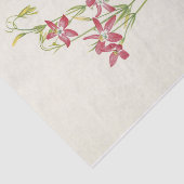 Roze centrum door Mary Vaux Walcott Tissuepapier (Detail)