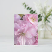 Roze Cherry Blossom Briefkaart (Staand voorkant)