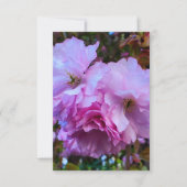 Roze Cherry Blossom Flowers Kaart (Voorkant)