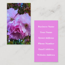 Roze Cherry Blossom Flowers