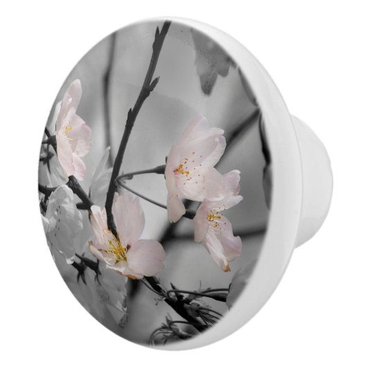 Roze Cherry Blossom Keramische Knop (Rechts)