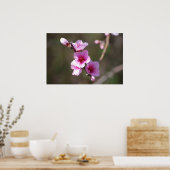 Roze Cherry Blossom Poster (Keuken)