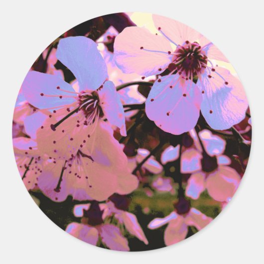 Roze Cherry Blossom Ronde Sticker (Voorkant)