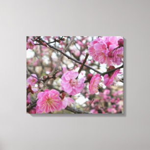 Roze Cherry Blossom / Sakura / サ ク ラ(桜) Canvas Afdruk