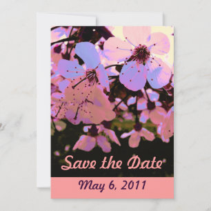 Roze Cherry Blossom Sparen de Datum Save The Date