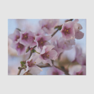 Roze Cherry Blossom Tissue Paper Tissuepapier