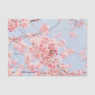 Roze Cherry Blossom Tissuepapier