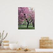 roze Cherry Blossom Tree NYC New York City Poster (Keuken)