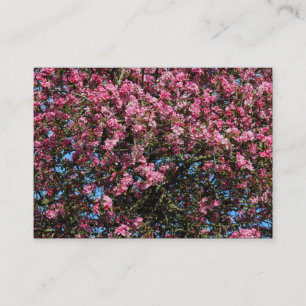 Roze Cherry Blossom Visitekaartje