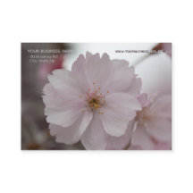 Roze Cherry Blossom