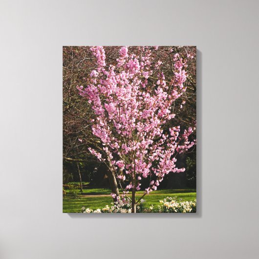 Roze Cherry Tree Canvas Afdrukken (Voorkant)