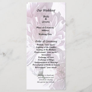 Roze chrysant hart programma