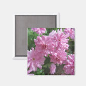 Roze Chrysanthema Magneet (Voorkant / Achterkant)