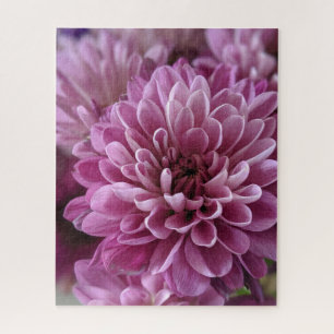 Roze Chrysanthemum Bloem Foto Legpuzzel