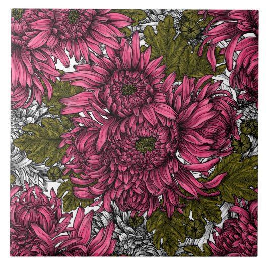 Roze chrysanthemum bloemen tegeltje (Voorkant)