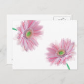Roze CHRYSANTHEMUM Briefkaart (Voorkant / Achterkant)