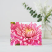 Roze Chrysanthemum Flower Briefkaart (Staand voorkant)