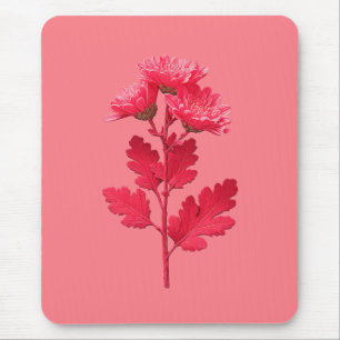 Roze Chrysanthemum Muismat