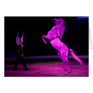 Roze Circus Horse