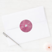 Roze citrusvruchten ronde sticker (Envelop)